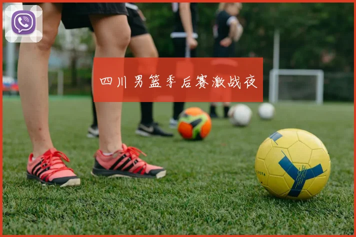 四川男篮季后赛激战夜