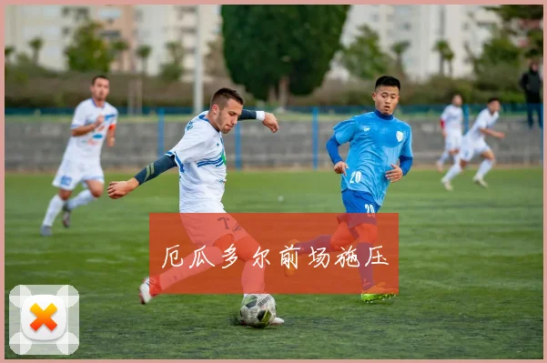 厄瓜多尔前场施压