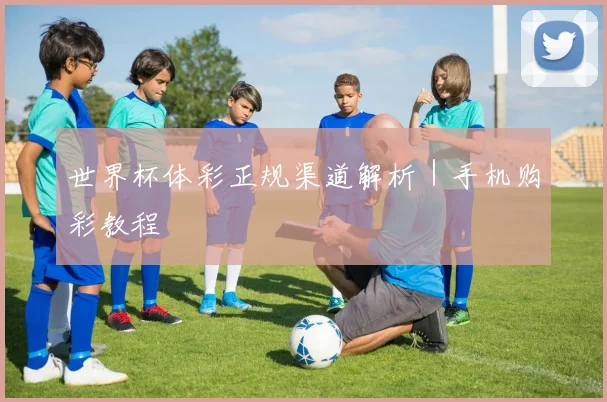 世界杯体彩正规渠道解析｜手机购彩教程